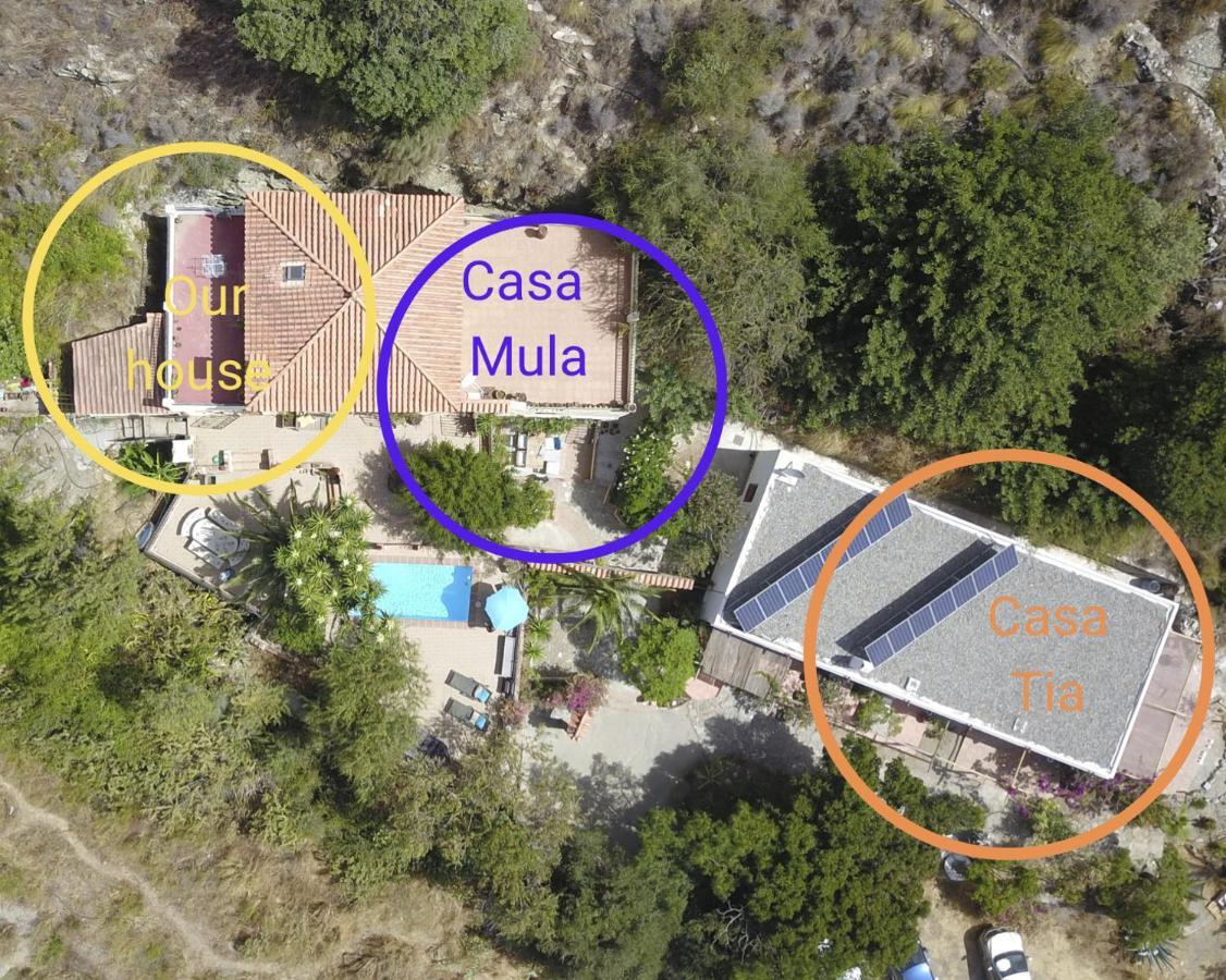 Cortijo Jamaica - Off Grid Paradise - Costa Tropical Los Diaz  Ngoại thất bức ảnh