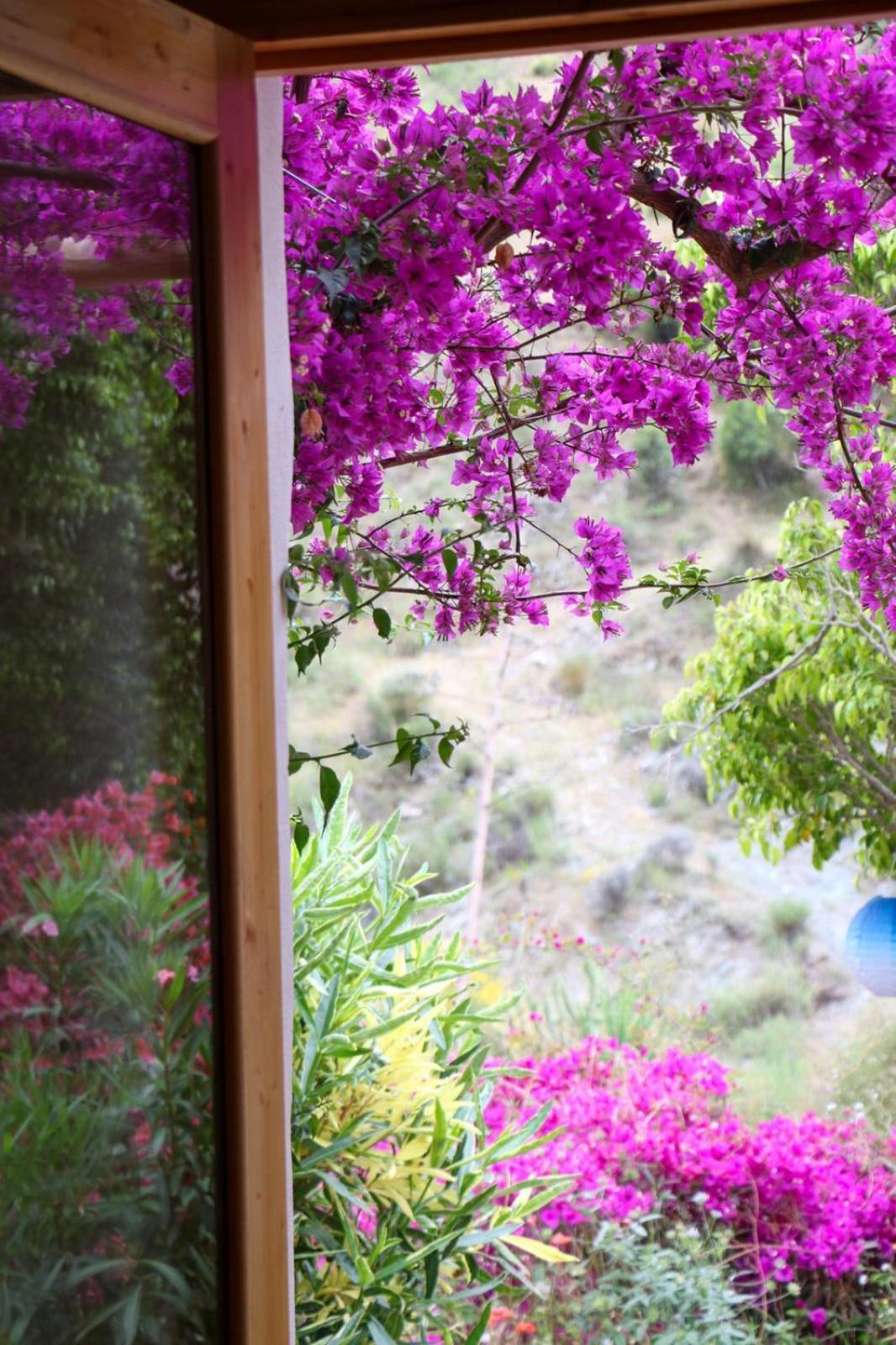 Cortijo Jamaica - Off Grid Paradise - Costa Tropical Los Diaz  Ngoại thất bức ảnh