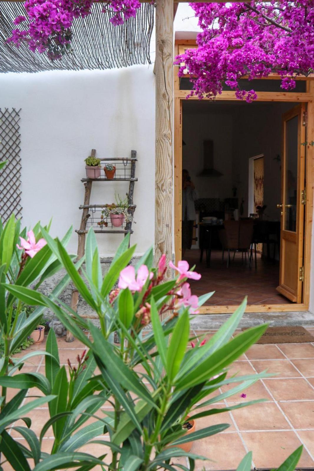 Cortijo Jamaica - Off Grid Paradise - Costa Tropical Los Diaz  Ngoại thất bức ảnh